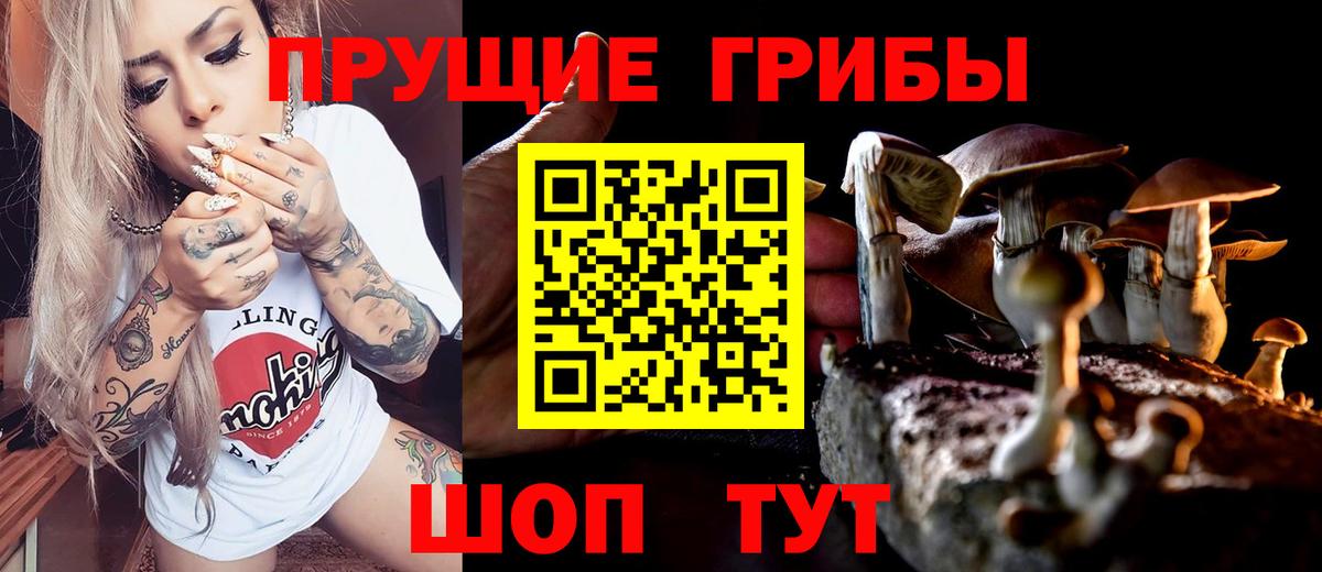 Псилоцибиновые грибы мухоморы  Вход с VPN  Шелехов 